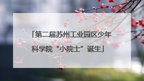 第二届苏州工业园区少年科学院“小院士”诞生