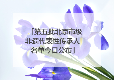 第五批北京市级非遗代表性传承人名单今日公布