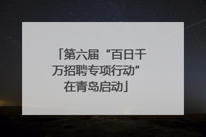 第六届“百日千万招聘专项行动”在青岛启动