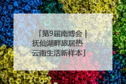 第9届南博会｜抚仙湖畔旅居热 云南生活新样本