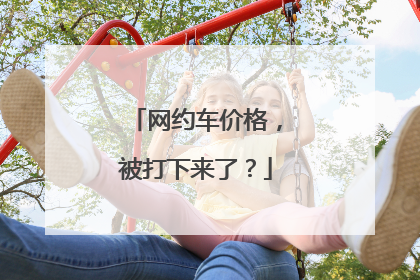 网约车价格，被打下来了？
