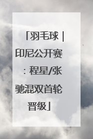 羽毛球｜印尼公开赛：程星/张驰混双首轮晋级