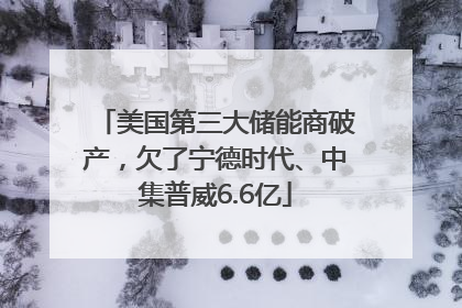 美国第三大储能商破产，欠了宁德时代、中集普威6.6亿