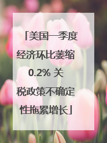美国一季度经济环比萎缩0.2% 关税政策不确定性拖累增长