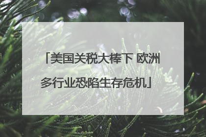 美国关税大棒下 欧洲多行业恐陷生存危机
