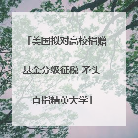 美国拟对高校捐赠基金分级征税 矛头直指精英大学