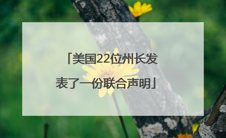 美国22位州长发表了一份联合声明