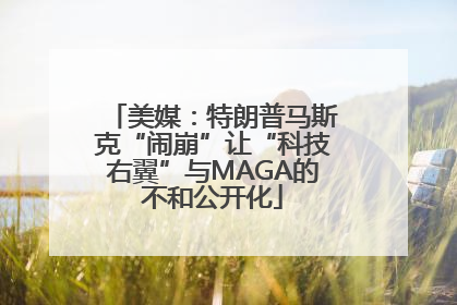 美媒：特朗普马斯克“闹崩”让“科技右翼”与MAGA的不和公开化
