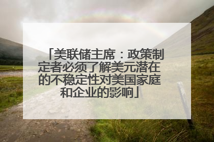 美联储主席：政策制定者必须了解美元潜在的不稳定性对美国家庭和企业的影响