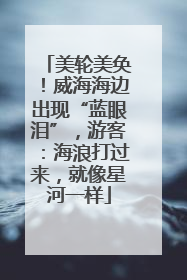 美轮美奂！威海海边出现“蓝眼泪”，游客：海浪打过来，就像星河一样