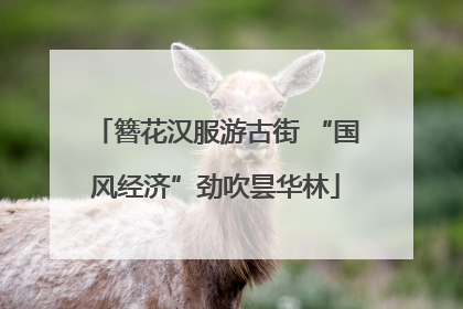 簪花汉服游古街 “国风经济”劲吹昙华林