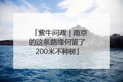 紫牛问政｜南京的这条路缘何留了200米不种树