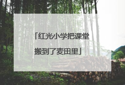 红光小学把课堂搬到了麦田里