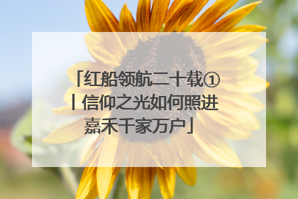 红船领航二十载①丨信仰之光如何照进嘉禾千家万户