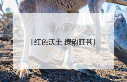 红色沃土 绿韵旺苍