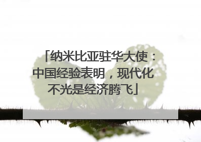 纳米比亚驻华大使：中国经验表明，现代化不光是经济腾飞