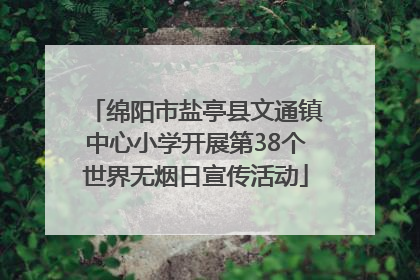 绵阳市盐亭县文通镇中心小学开展第38个世界无烟日宣传活动
