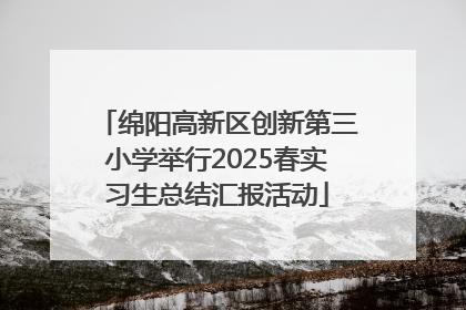 绵阳高新区创新第三小学举行2025春实习生总结汇报活动