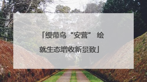 绶带鸟“安营” 绘就生态增收新景致