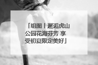 组图丨邂逅虎山公园花海芬芳 享受初夏限定美好