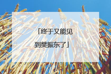 终于又能见到樊振东了
