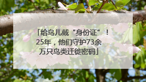 给鸟儿戴“身份证”！25年，他们守护73余万只鸟类迁徙密码