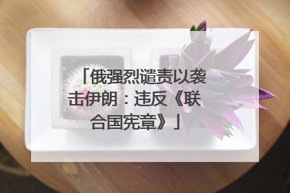 俄强烈谴责以袭击伊朗：违反《联合国宪章》