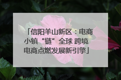 信阳羊山新区：电商小镇“链”全球 跨境电商点燃发展新引擎