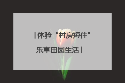 体验“村房短住” 乐享田园生活