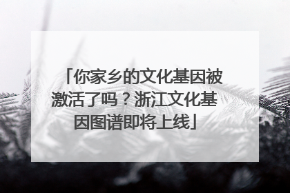 你家乡的文化基因被激活了吗？浙江文化基因图谱即将上线