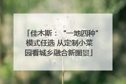 佳木斯：“一地四种” 模式任选 从定制小菜园看城乡融合新图景