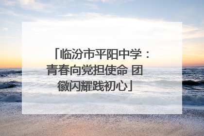 临汾市平阳中学：青春向党担使命 团徽闪耀践初心