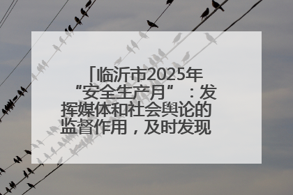 临沂市2025年“安全生产月”：发挥媒体和社会舆论的监督作用，及时发现并消除安全隐患