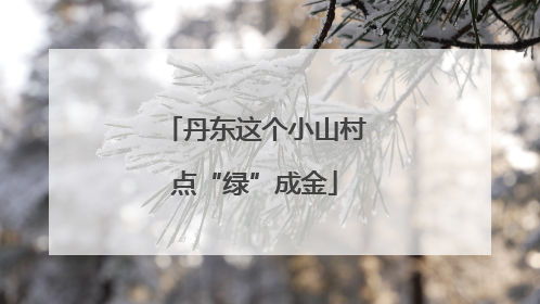 丹东这个小山村点“绿”成金