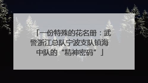 一份特殊的花名册：武警浙江总队宁波支队镇海中队的“精神密码”