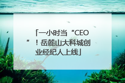 一小时当“CEO”！岳麓山大科城创业经纪人上线