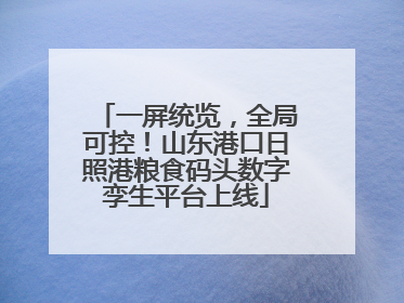 一屏统览，全局可控！山东港口日照港粮食码头数字孪生平台上线