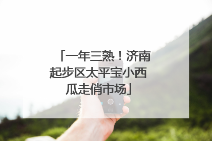一年三熟！济南起步区太平宝小西瓜走俏市场