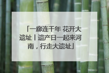 一廊连千年 花开大遗址丨遗产日一起来河南，行走大遗址