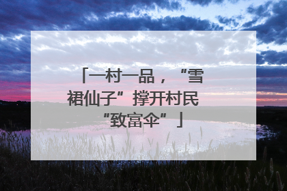 一村一品，“雪裙仙子”撑开村民“致富伞”