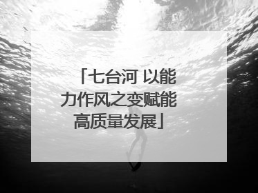 七台河 以能力作风之变赋能高质量发展