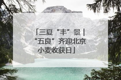三夏“丰”景｜“五良”齐迎北京小麦收获日