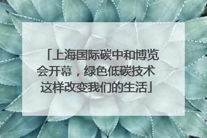 上海国际碳中和博览会开幕，绿色低碳技术这样改变我们的生活