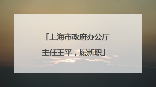 上海市政府办公厅主任王平，履新职