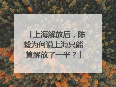 上海解放后，陈毅为何说上海只能算解放了一半？