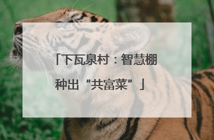 下瓦泉村：智慧棚种出“共富菜”