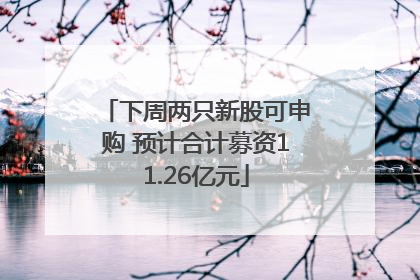 下周两只新股可申购 预计合计募资11.26亿元