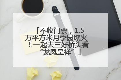 不收门票，1.5万平方米月季园爆火！一起去三好桥头看“龙凤呈祥”