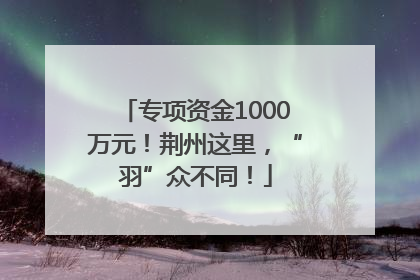 专项资金1000万元！荆州这里，“羽”众不同！