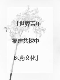 世界青年福建共探中医药文化
